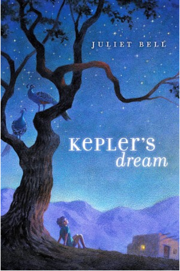 Kepler’s Dream Day Four